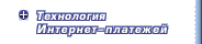 Технология Интернет-платежей